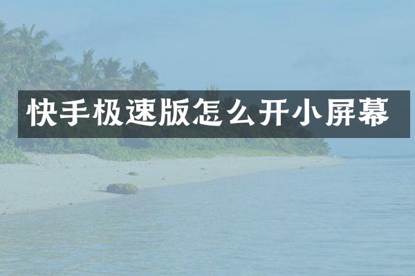 快手极速版怎么开小屏幕