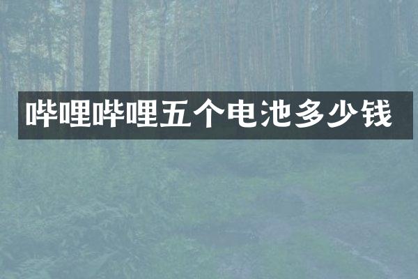哔哩哔哩五个电池多少钱