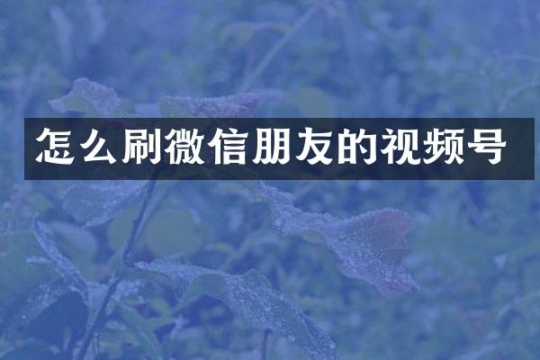 怎么刷微信朋友的视频号
