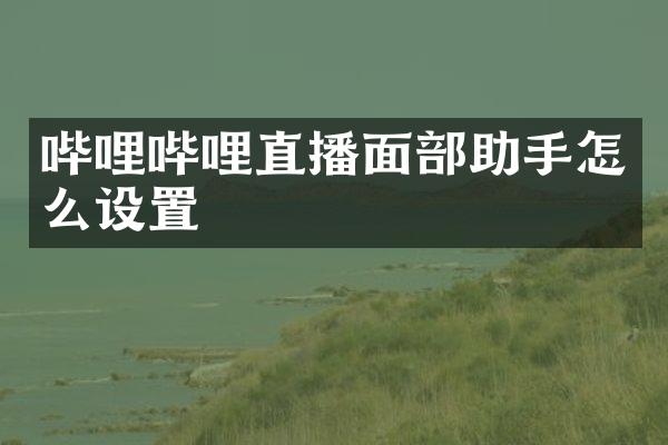 哔哩哔哩直播面部助手怎么设置