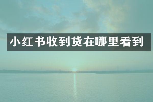 小红书收到货在哪里看到