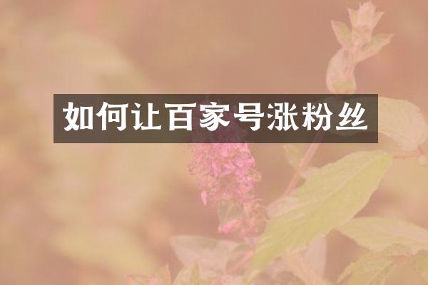 如何让百家号涨粉丝