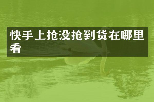 快手上抢没抢到货在哪里看