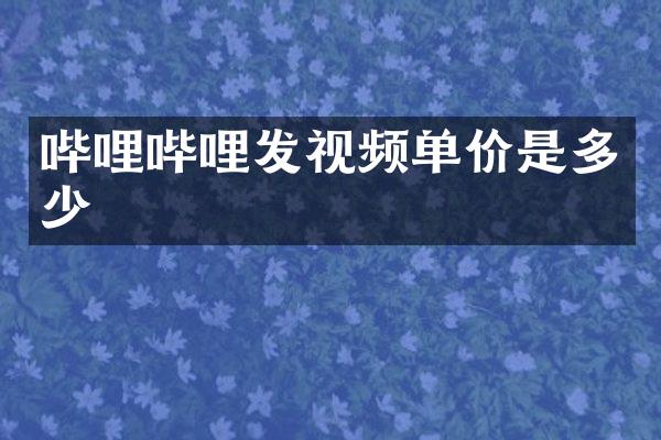 哔哩哔哩发视频单价是多少