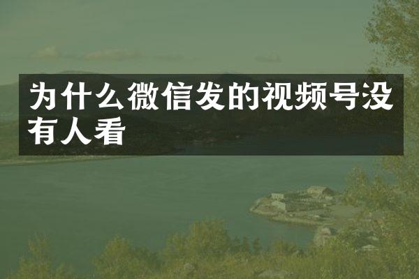 为什么微信发的视频号没有人看