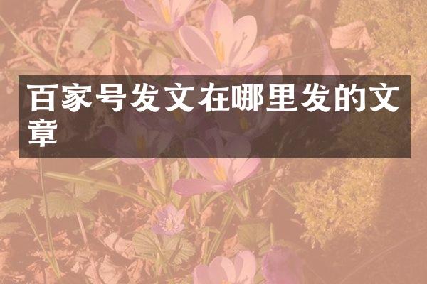 百家号发文在哪里发的文章