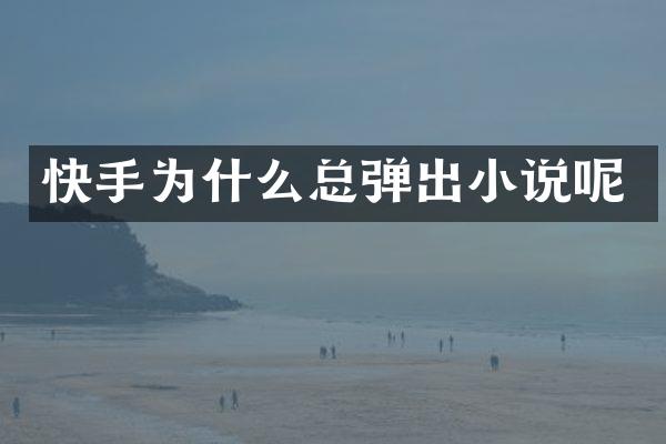 快手为什么总弹出小说呢