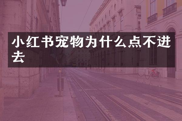 小红书宠物为什么点不进去