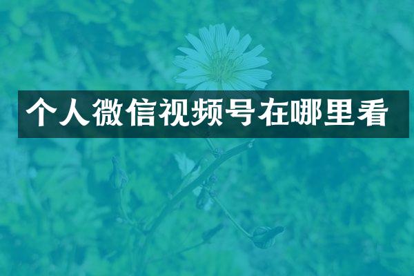 个人微信视频号在哪里看