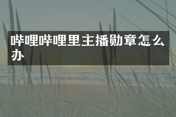 哔哩哔哩里主播勋章怎么办