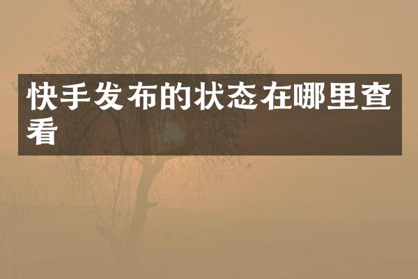 快手发布的状态在哪里查看