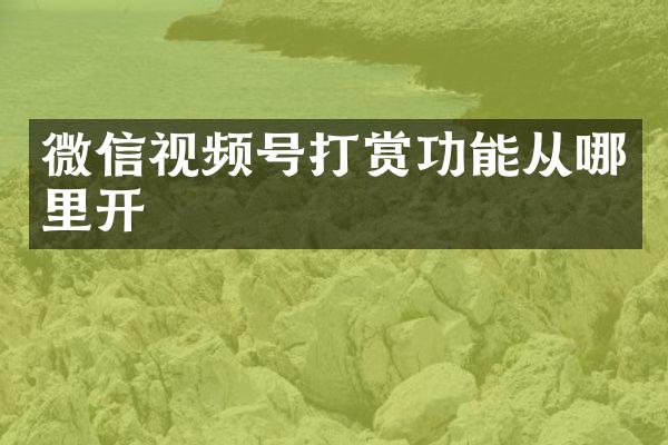 微信视频号打赏功能从哪里开