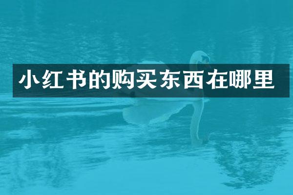 小红书的购买东西在哪里