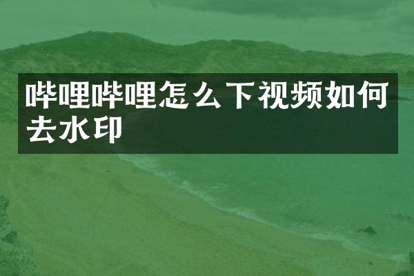 哔哩哔哩怎么下视频如何去水印