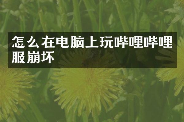 怎么在电脑上玩哔哩哔哩服崩坏