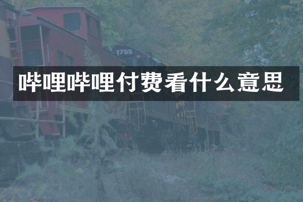 哔哩哔哩付费看什么意思