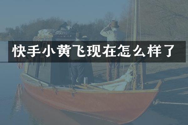 快手小黄飞现在怎么样了