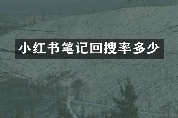 小红书笔记回搜率多少