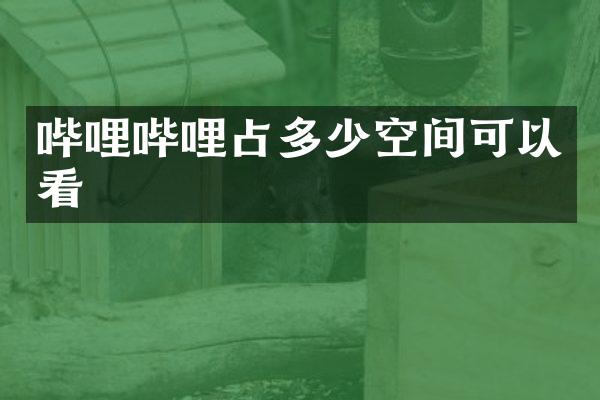 哔哩哔哩占多少空间可以看