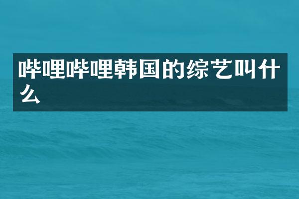 哔哩哔哩韩国的综艺叫什么