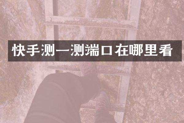 快手测一测端口在哪里看