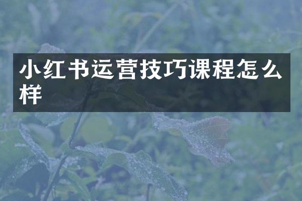 小红书运营技巧课程怎么样