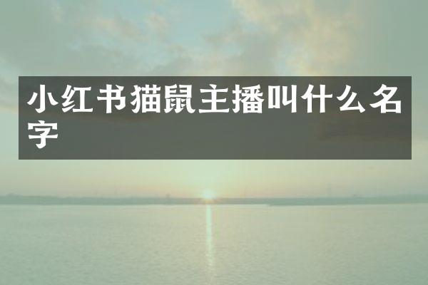 小红书猫鼠主播叫什么名字