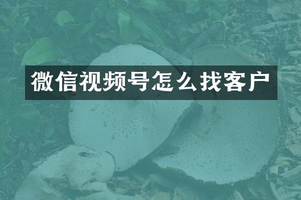 微信视频号怎么找客户