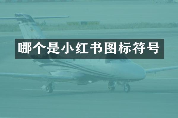 哪个是小红书图标符号