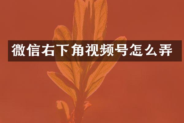 微信右下角视频号怎么弄