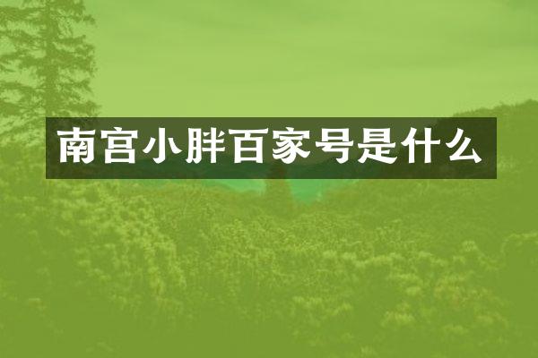 南宫小胖百家号是什么