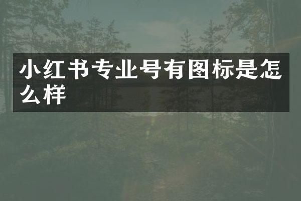 小红书专业号有图标是怎么样