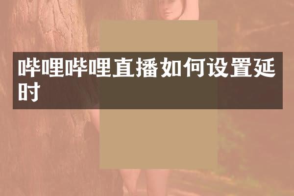 哔哩哔哩直播如何设置延时