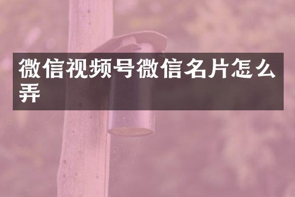 微信视频号微信名片怎么弄