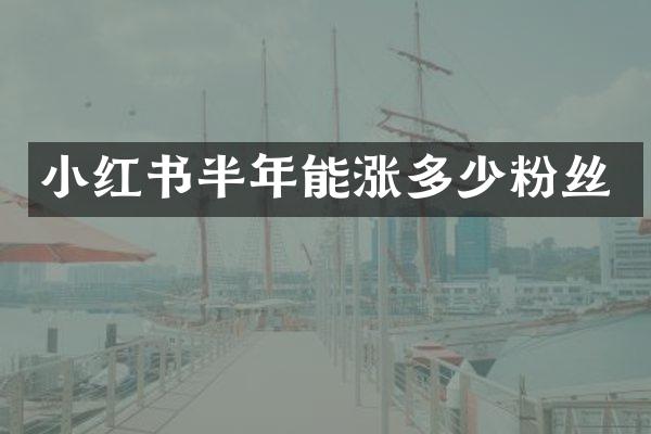 小红书半年能涨多少粉丝