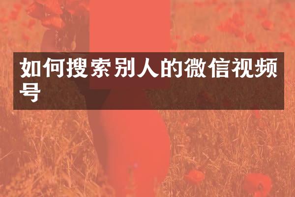 如何搜索别人的微信视频号