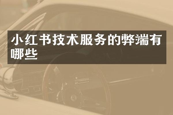 小红书技术服务的弊端有哪些