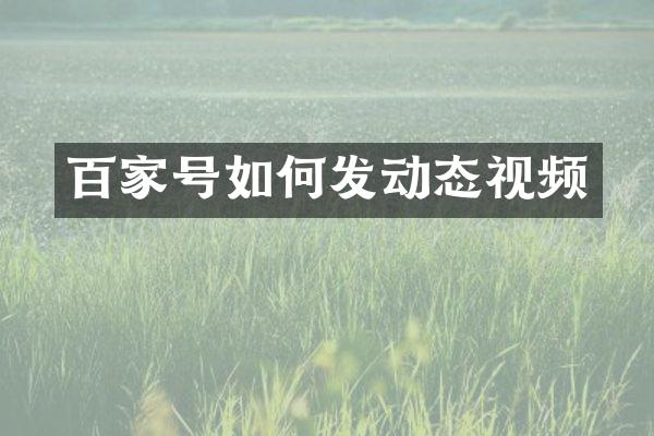 百家号如何发动态视频