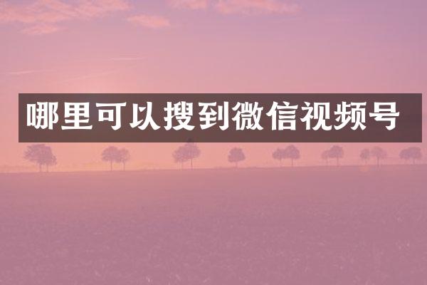 哪里可以搜到微信视频号