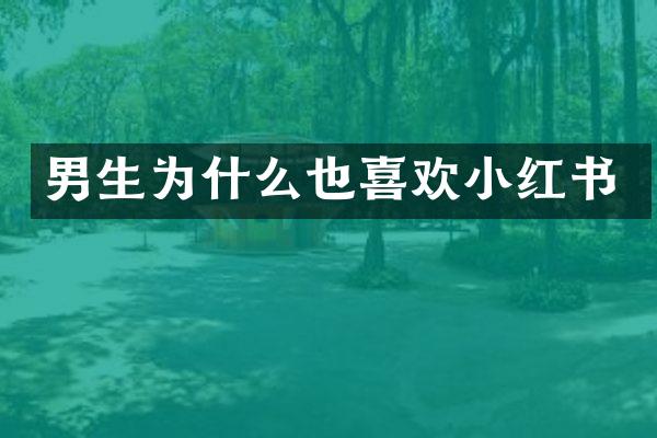 男生为什么也喜欢小红书