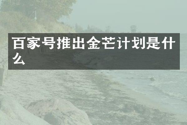 百家号推出金芒计划是什么