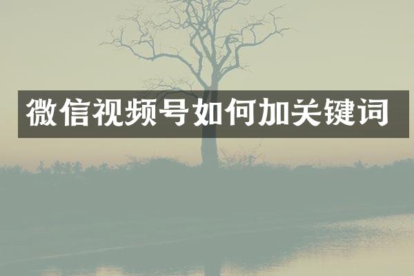 微信视频号如何加关键词