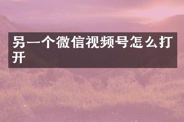另一个微信视频号怎么打开