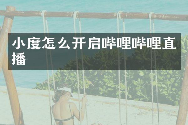 小度怎么开启哔哩哔哩直播