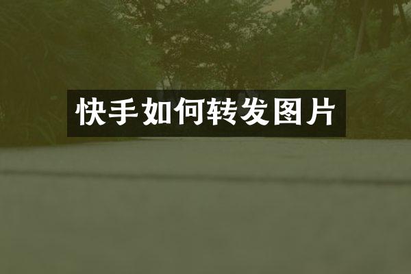 快手如何转发图片