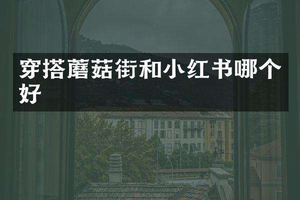 穿搭蘑菇街和小红书哪个好