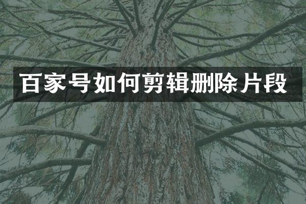 百家号如何剪辑删除片段