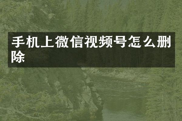手机上微信视频号怎么删除