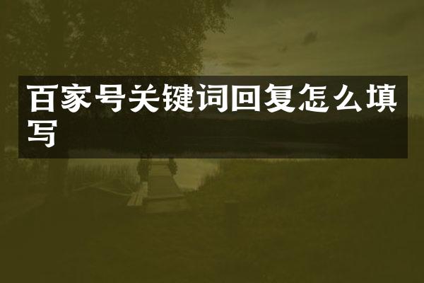 百家号关键词回复怎么填写