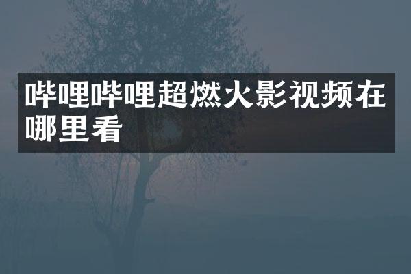 哔哩哔哩超燃火影视频在哪里看